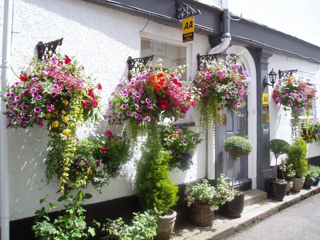 Cherubs Nest Dartmouth Exterior photo