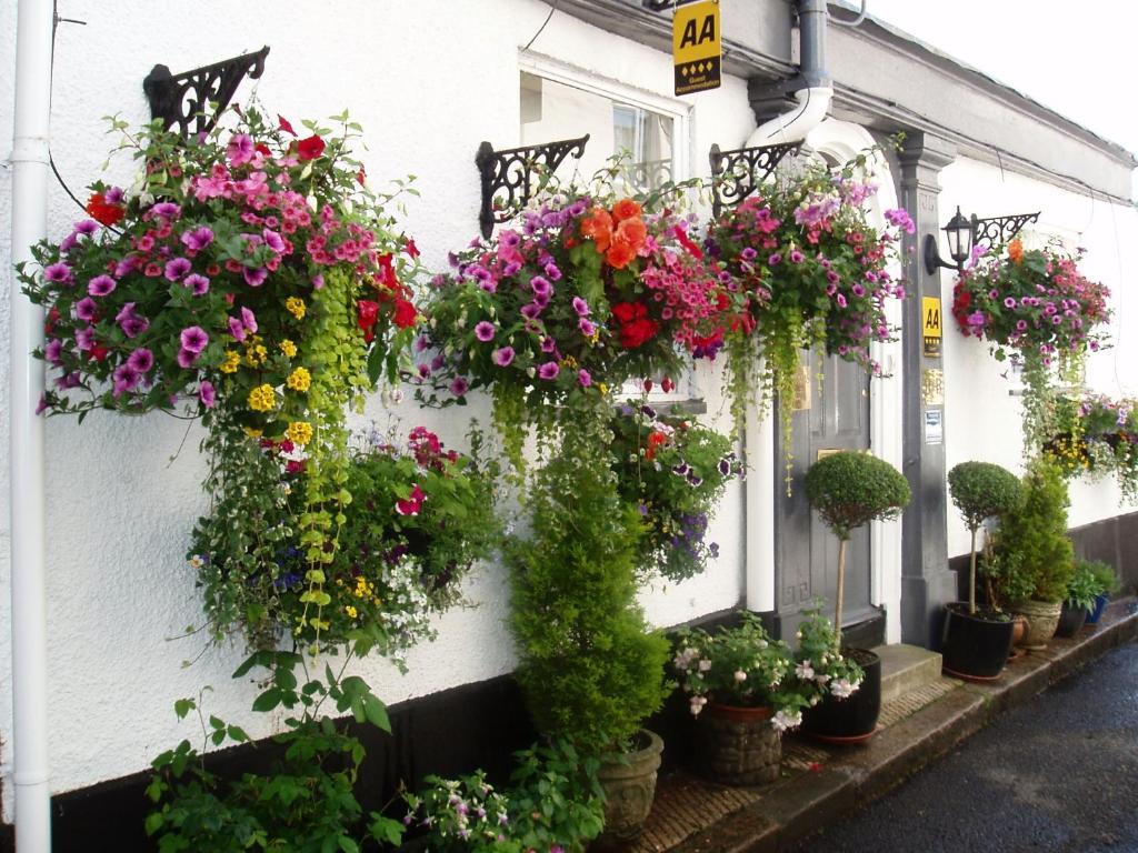 Cherubs Nest Dartmouth Exterior photo